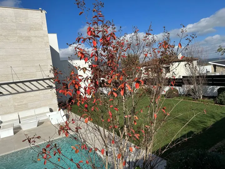 Piscina y jardín · 2022