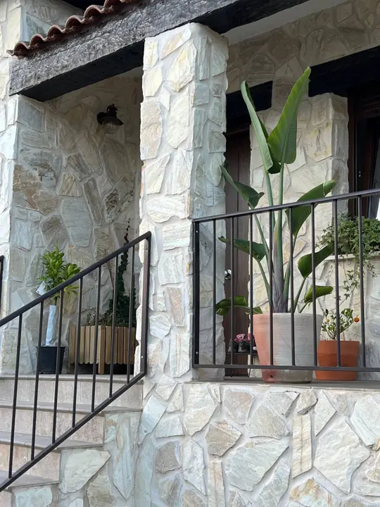 Plantas en la entrada · 2022