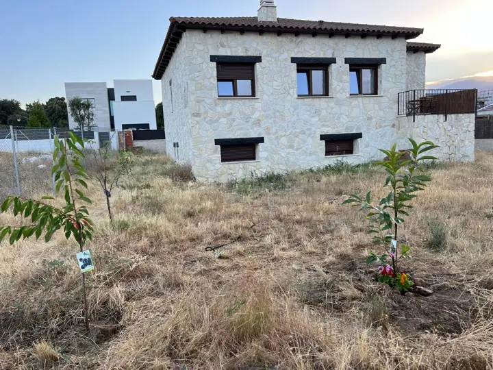 Plantación de frutales · 2022